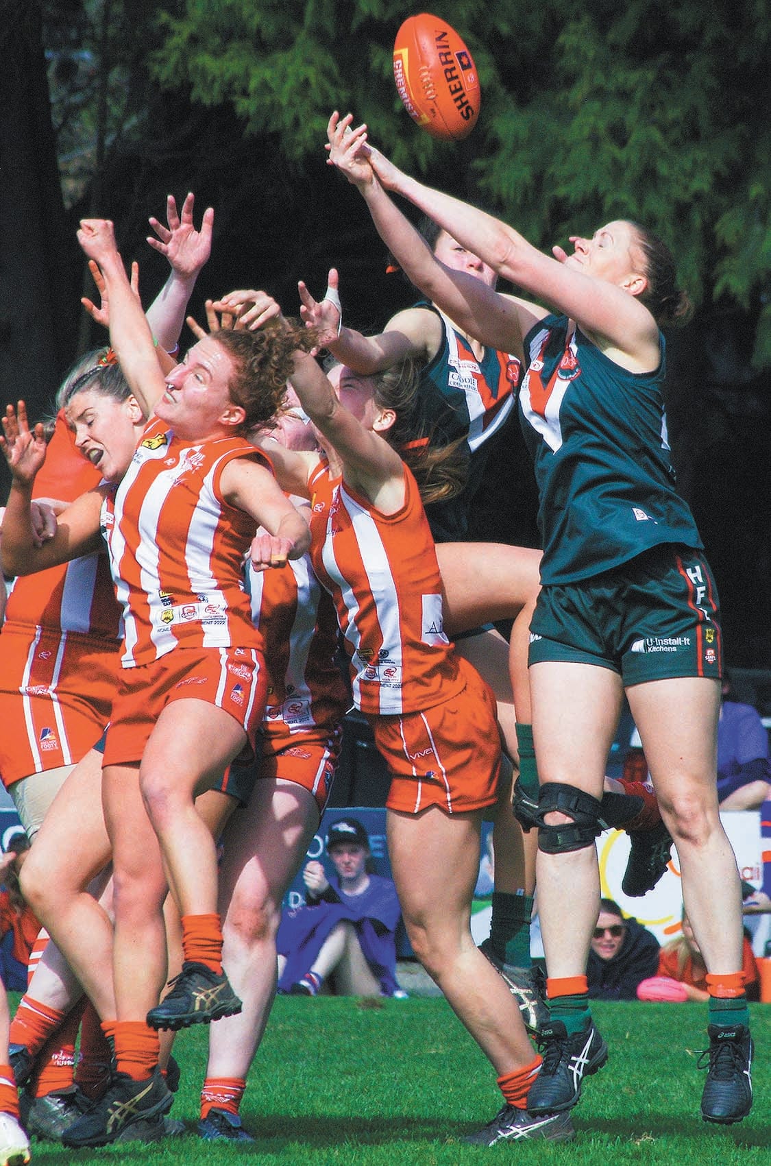 HFLW crown to Blackwood