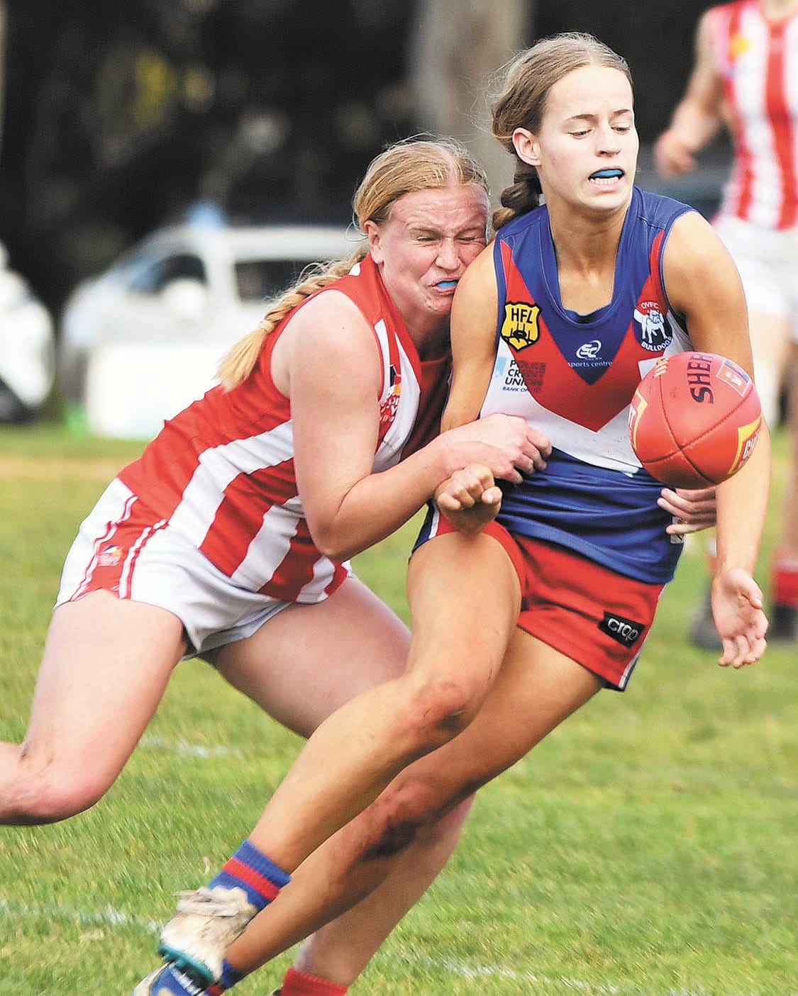 More pain for Bulldogs women