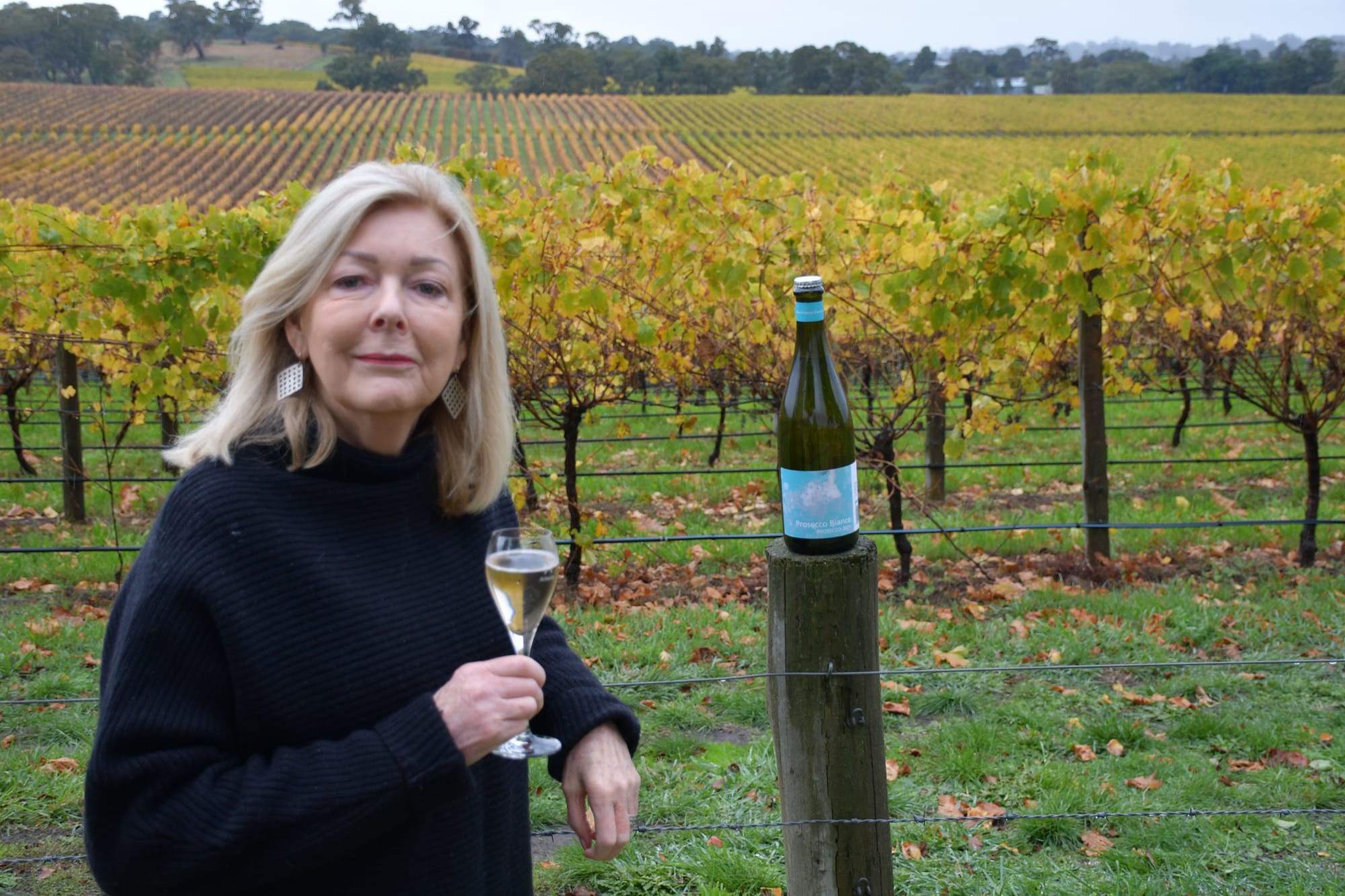 Stakeholders push back against proposal to ban Australian wineries from using common wine name