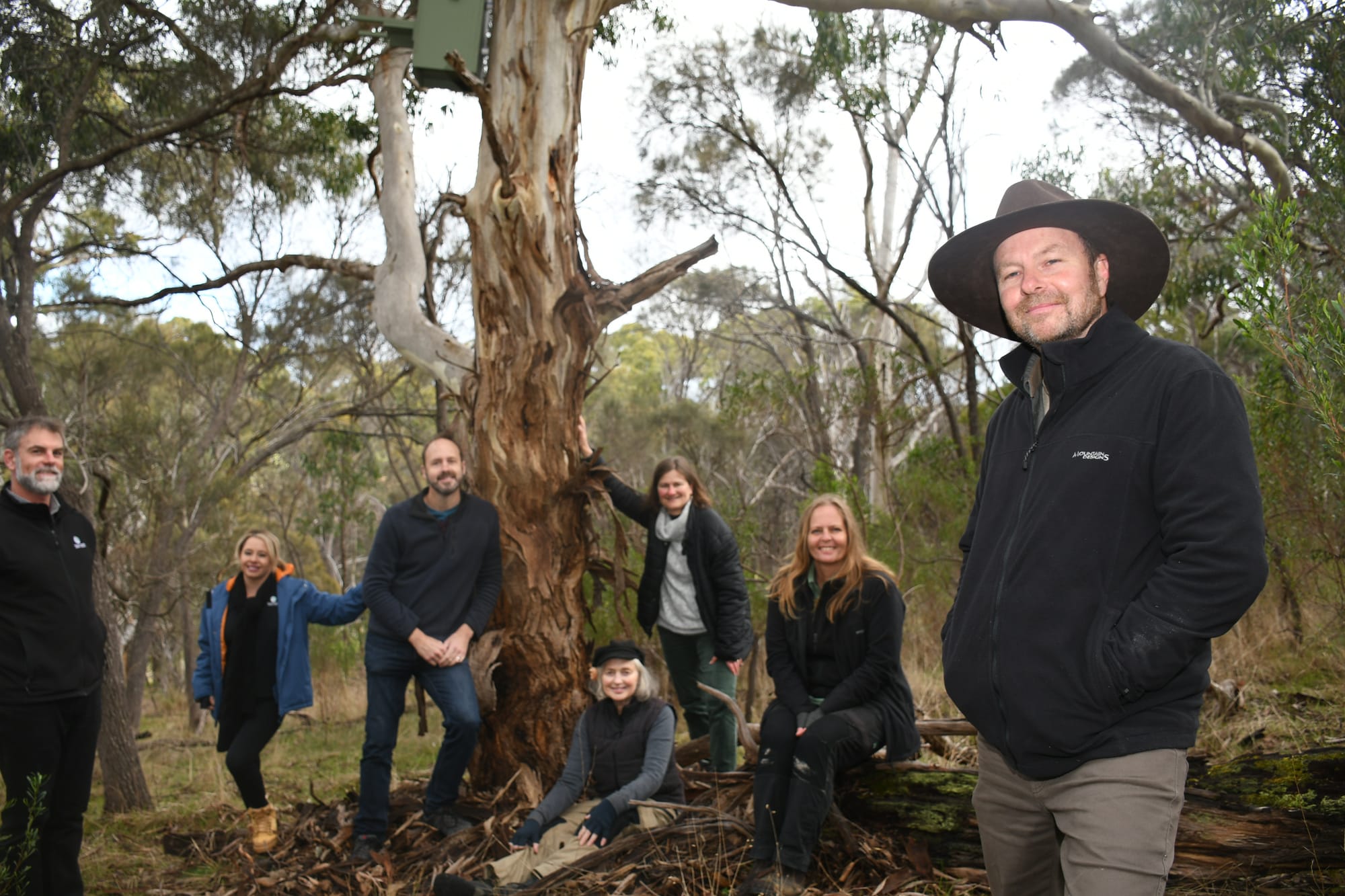 Boxes provide new homes as Mt Barker grows
