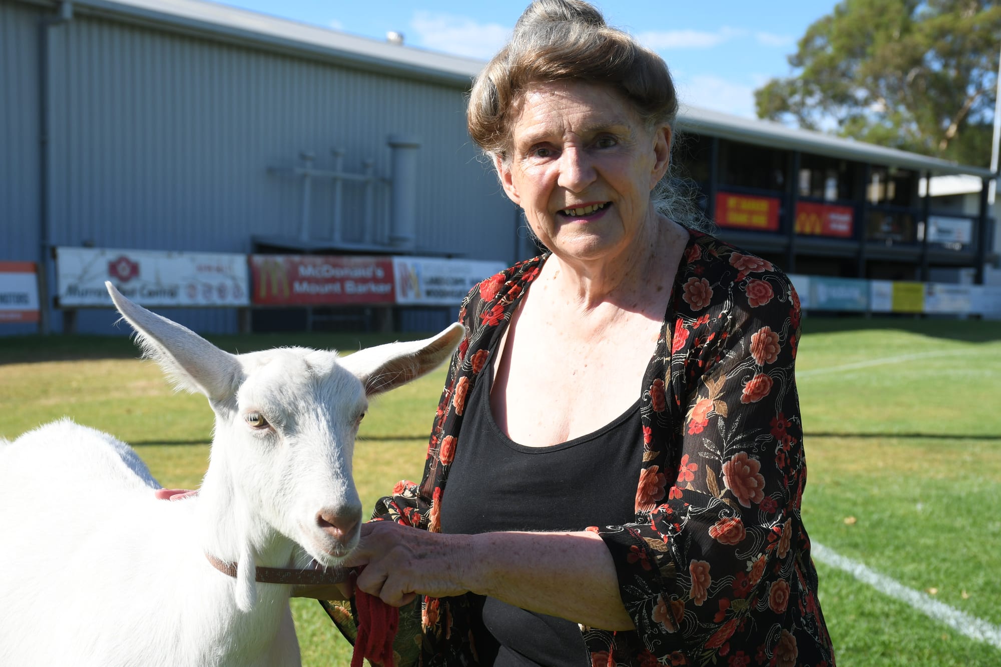 Goats and dodgem cars to feature at Mt Barker show