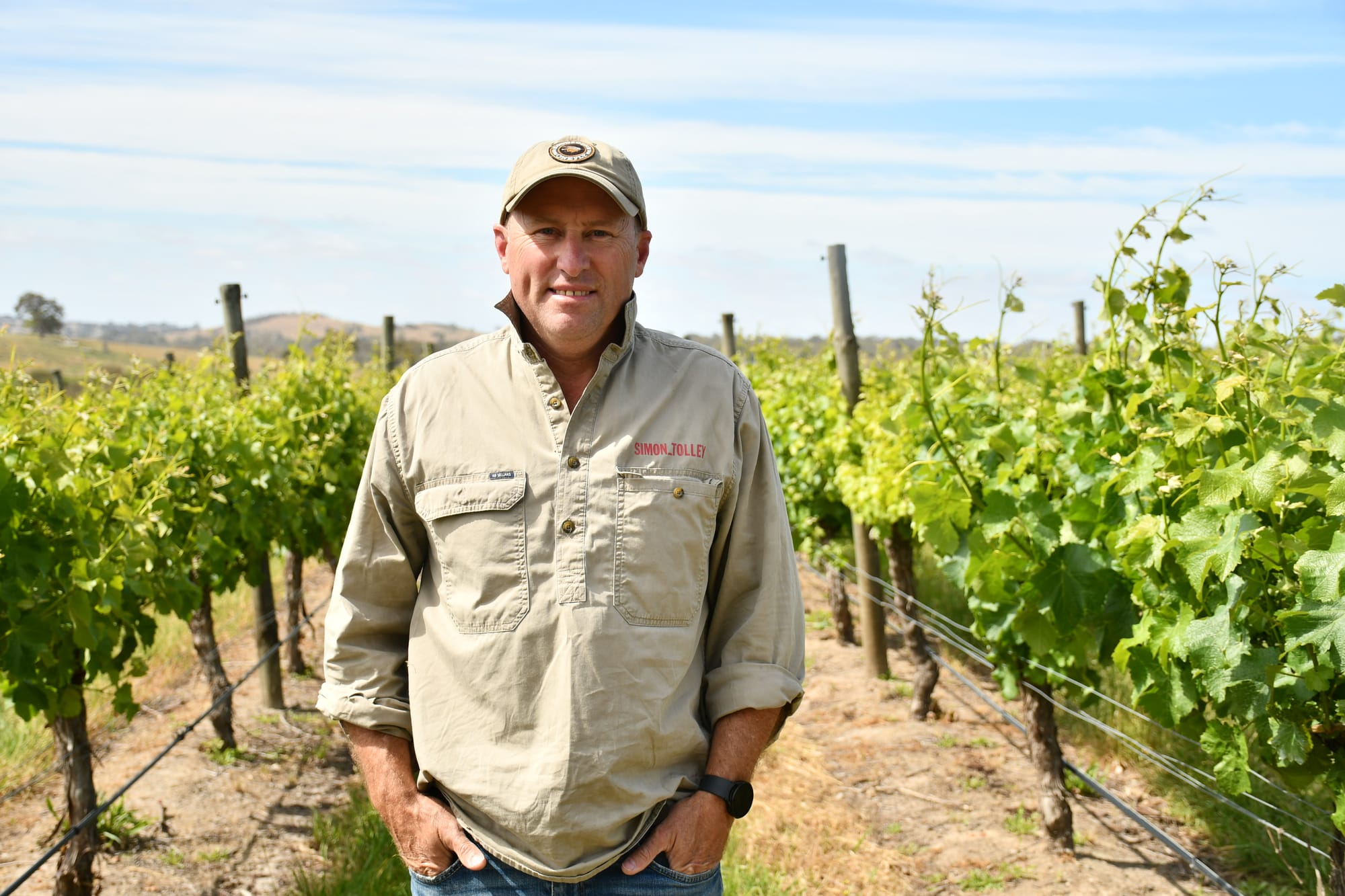 Innovative use found for smoke tainted grapes