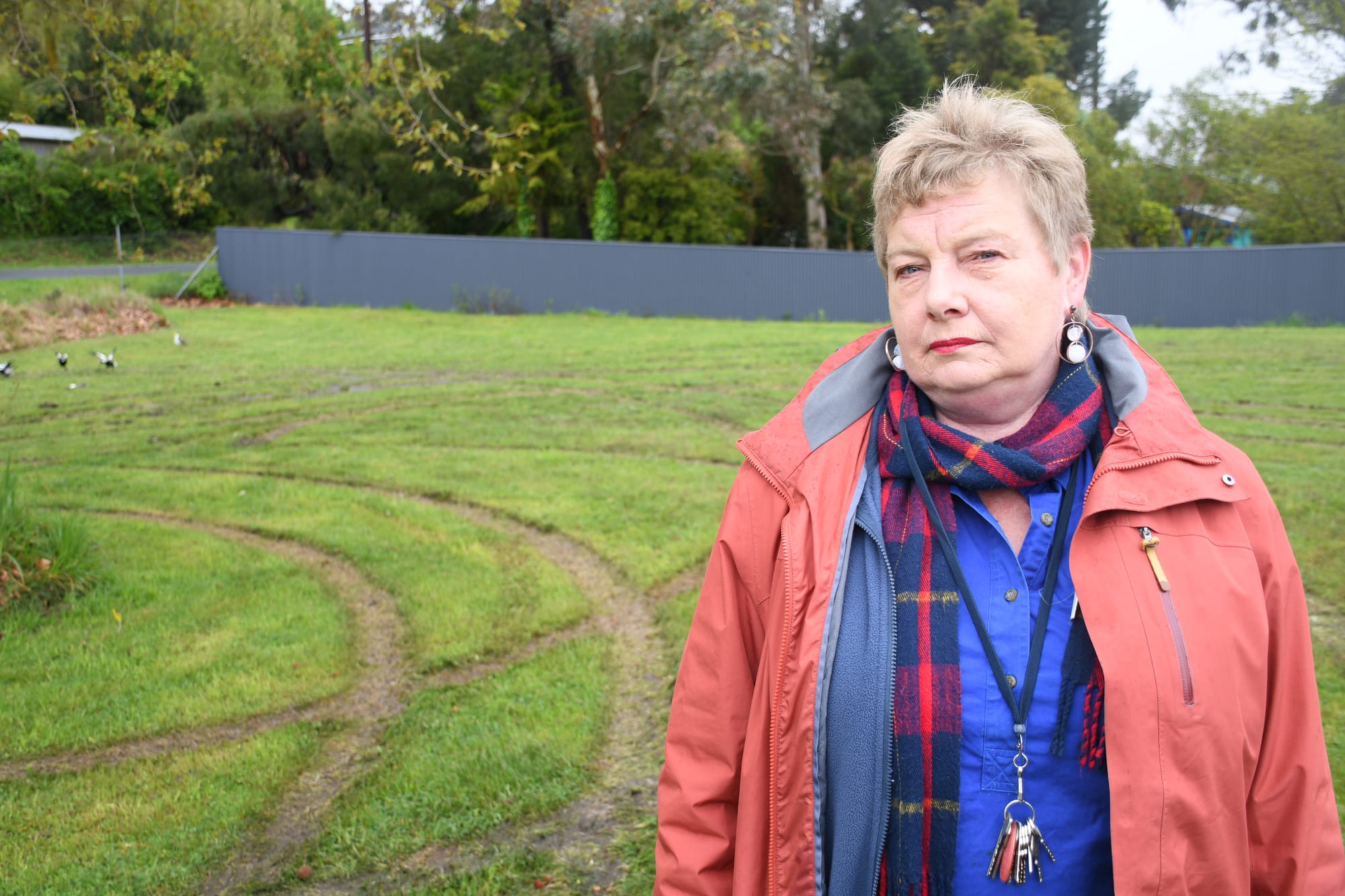 Show committee frustrated by oval vandals