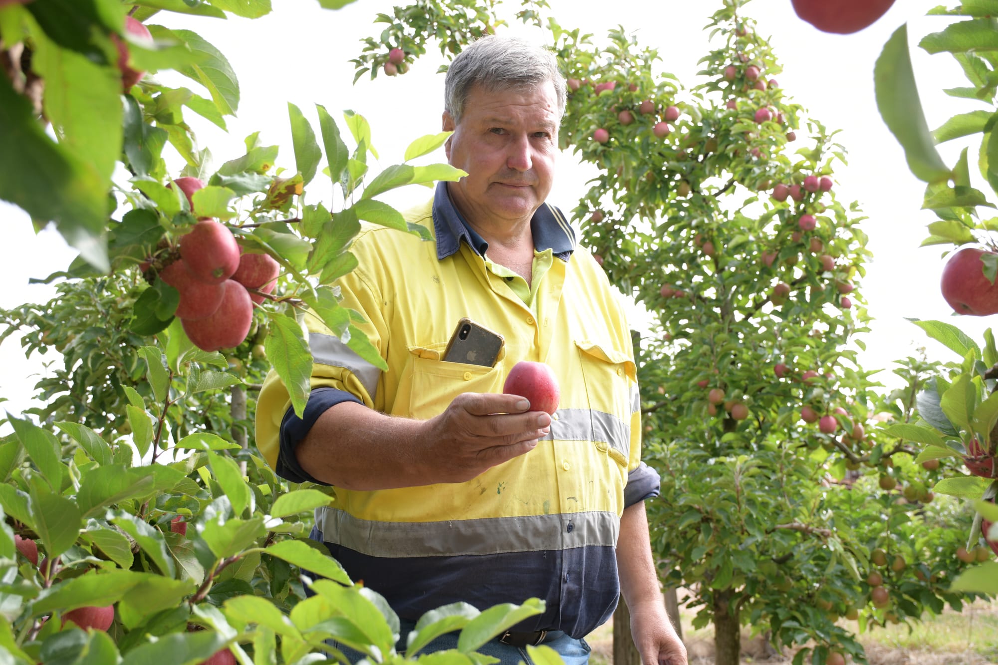 Growers welcome positive season, but challenges remain