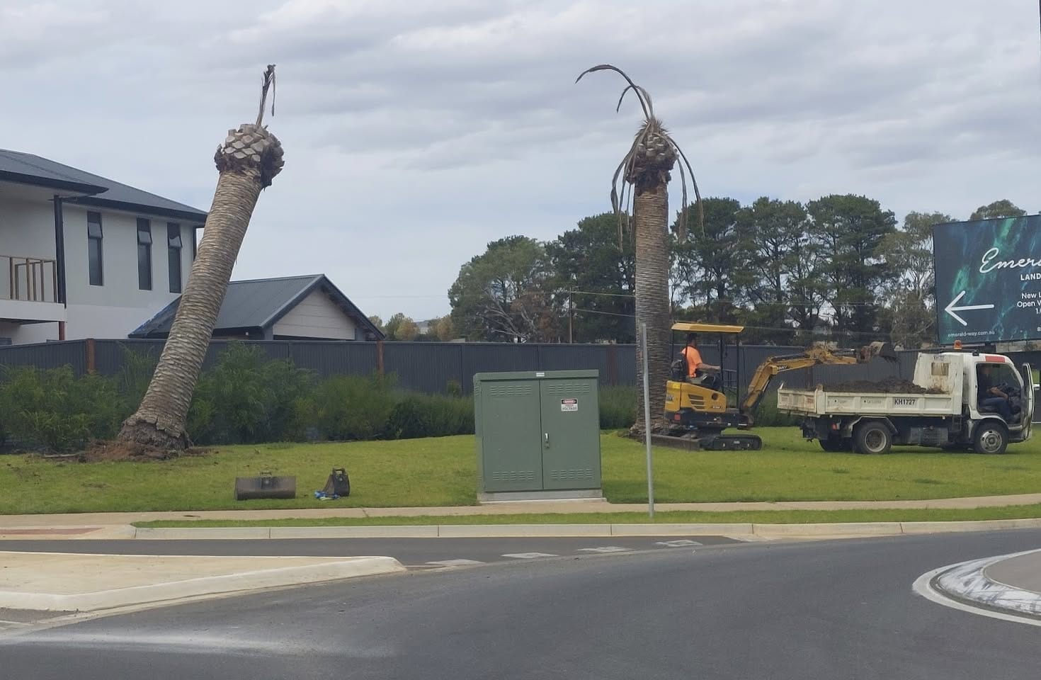 Waterlogged palms replaced