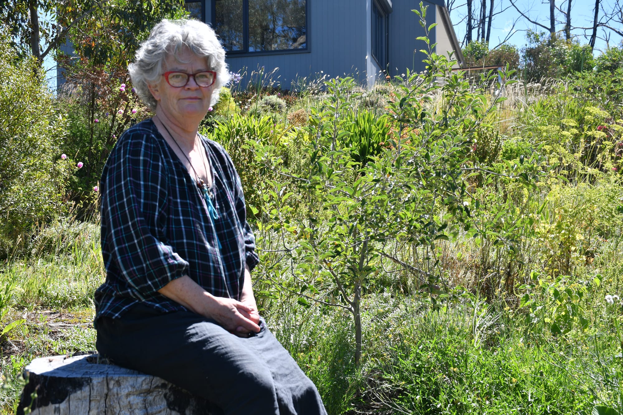 Community still recovering from Cudlee Creek fire