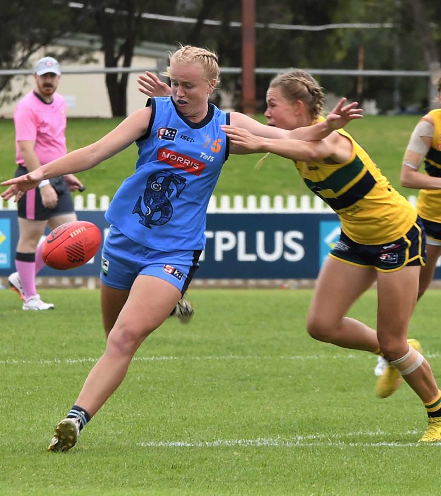Hills products high in SANFLW