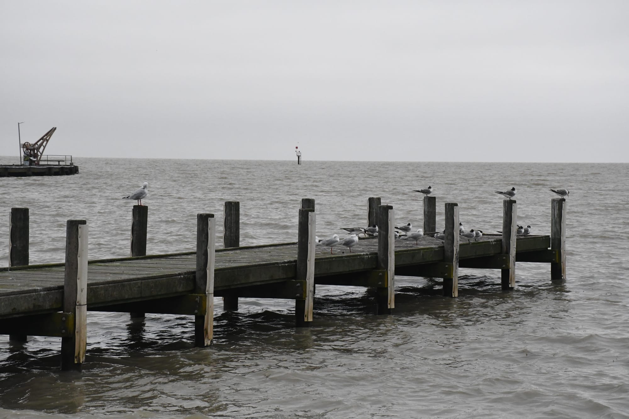 Flooding not expected at Milang, but residents urged to be vigilant