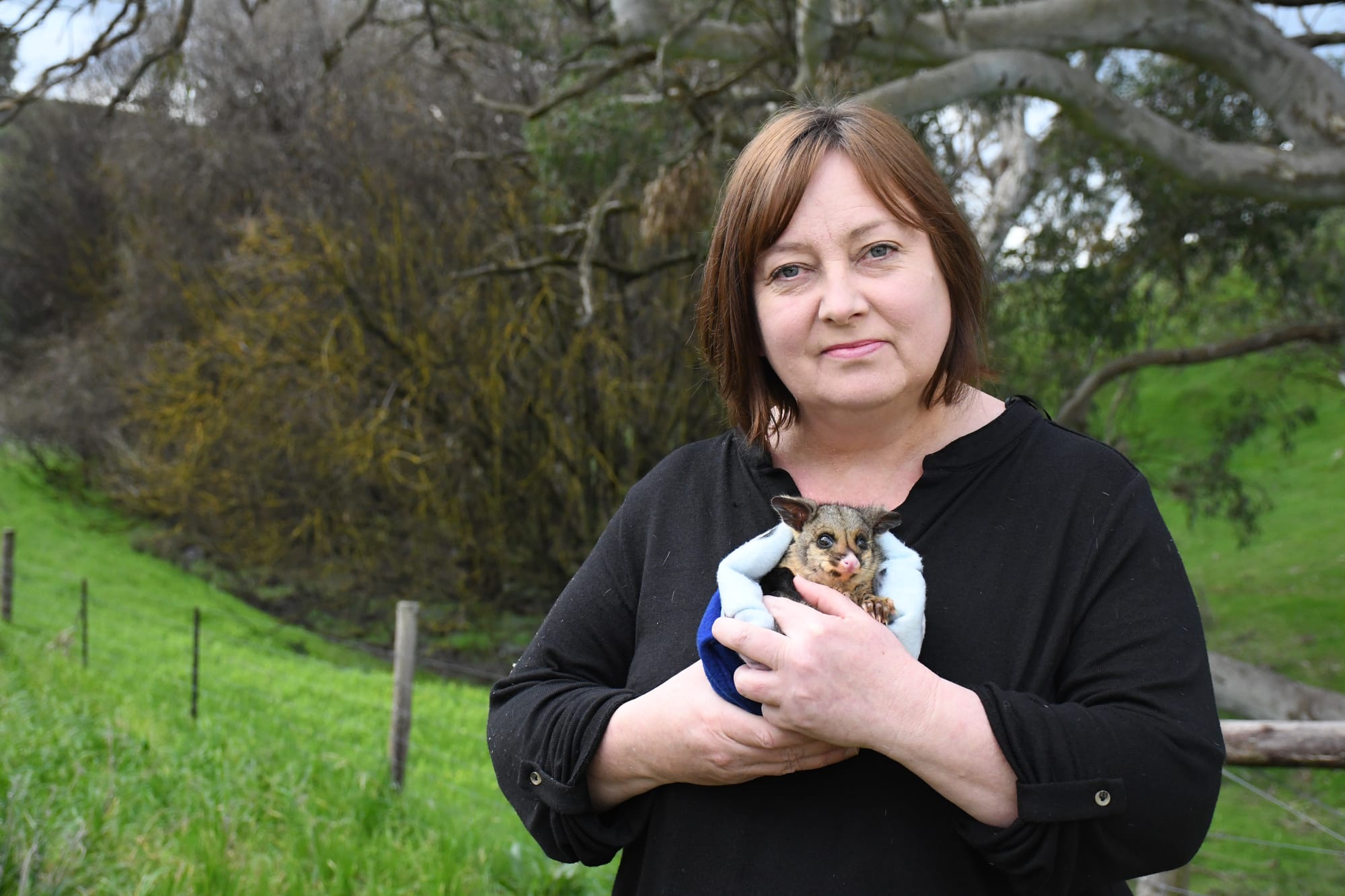 Rat poison warning as animal deaths rise