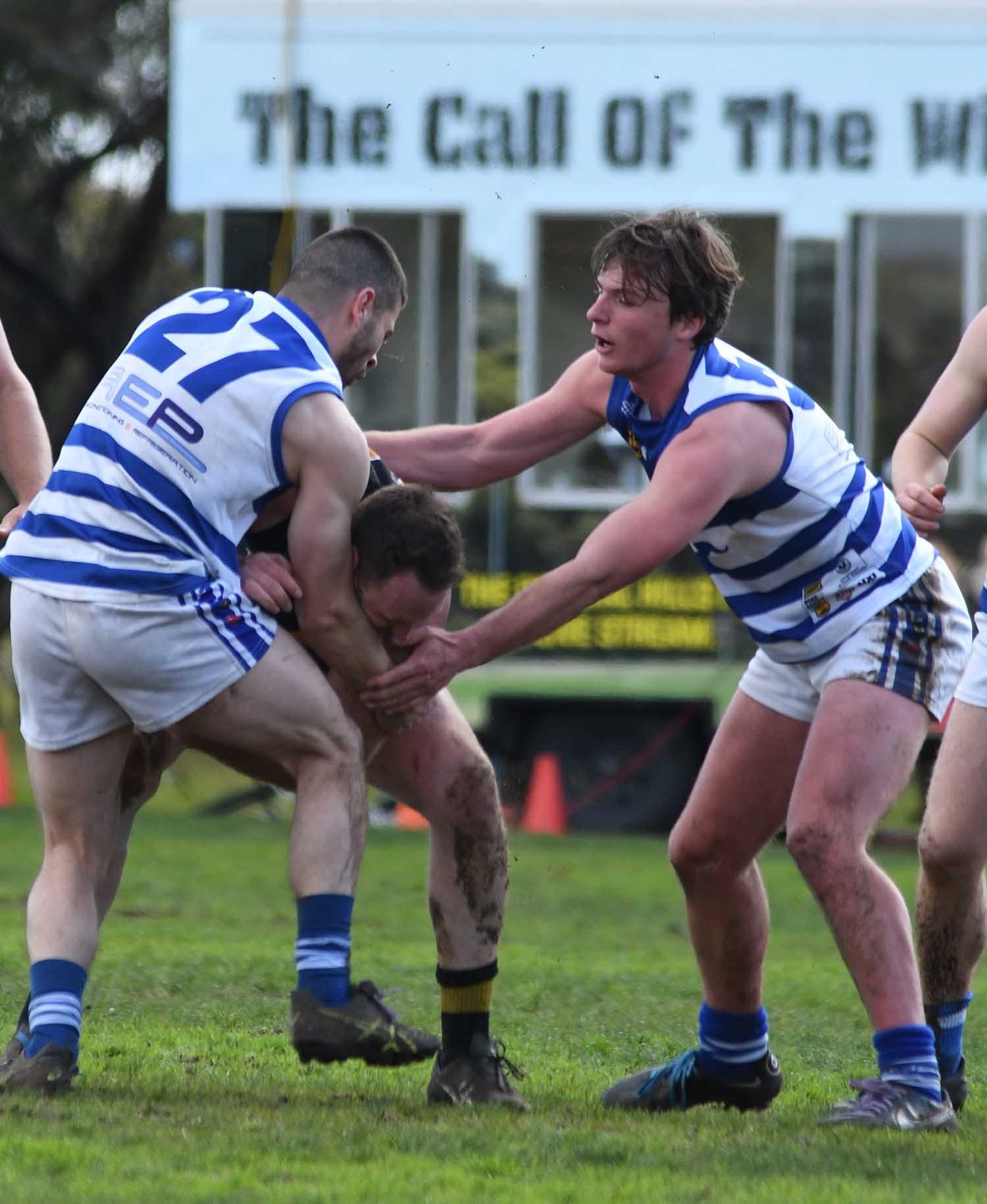 Tigers advance ... Woods axed