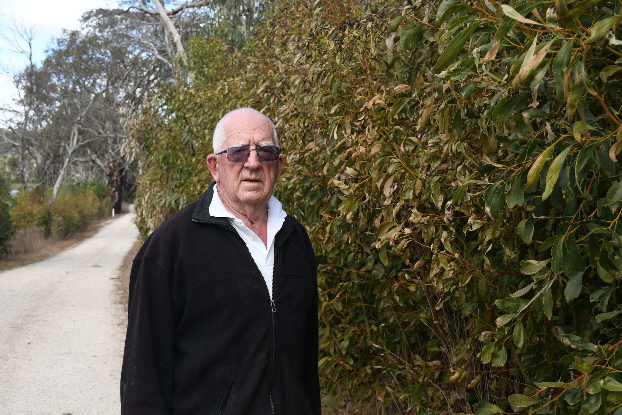 Mystery surrounds poisoned trees