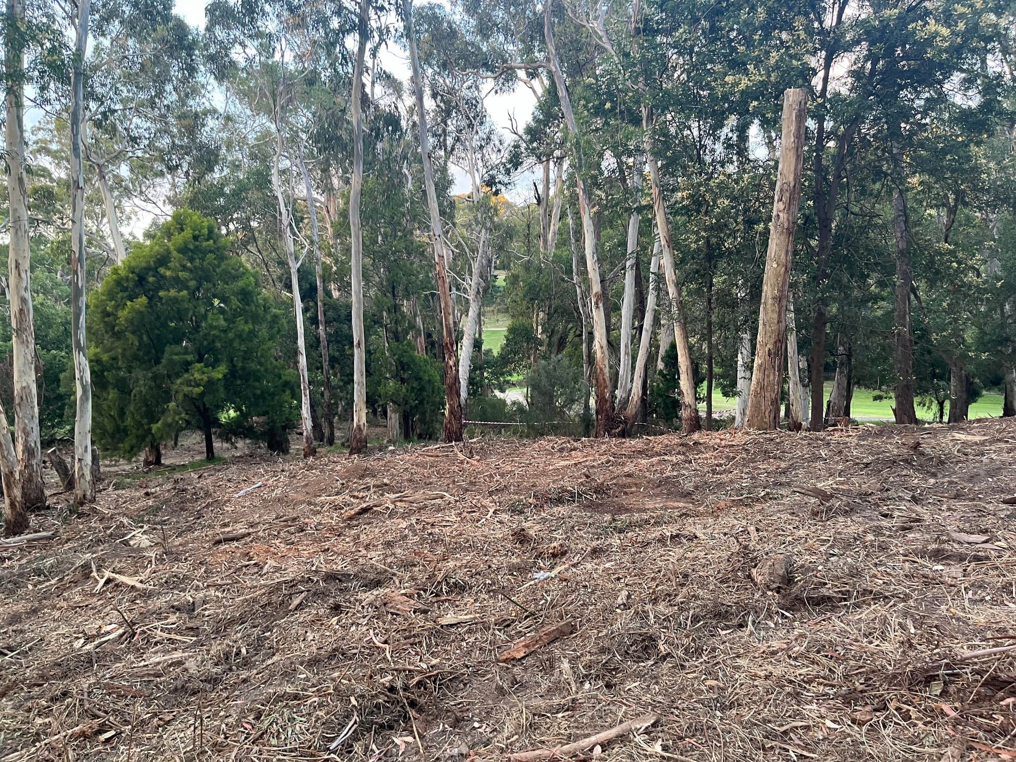 Owner of golf estate cleared of wrongful clearing