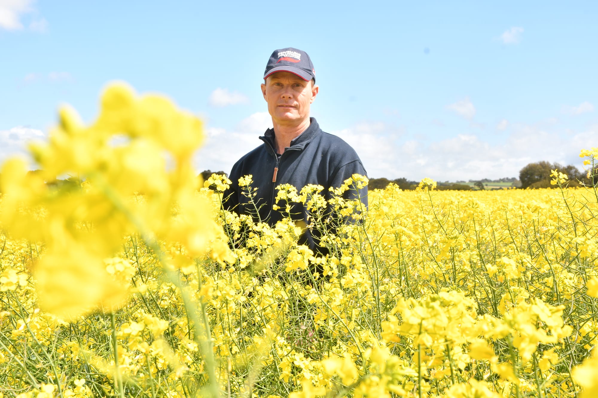 Canola crops exceed expectation