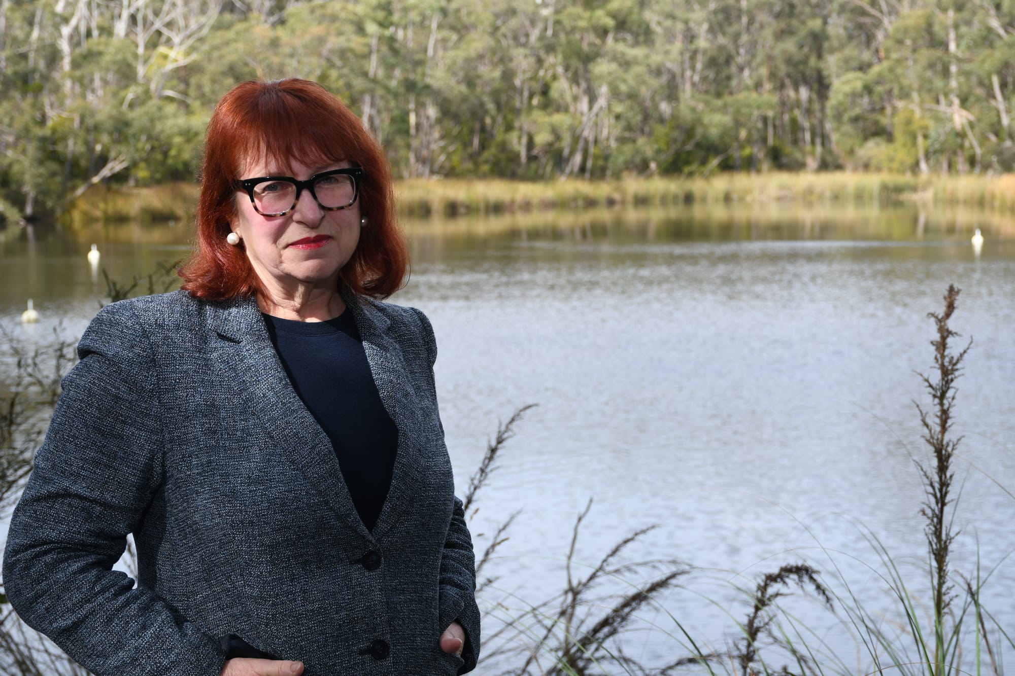 Mayor's farewell: Adelaide Hills Mayor says position 'untenable'