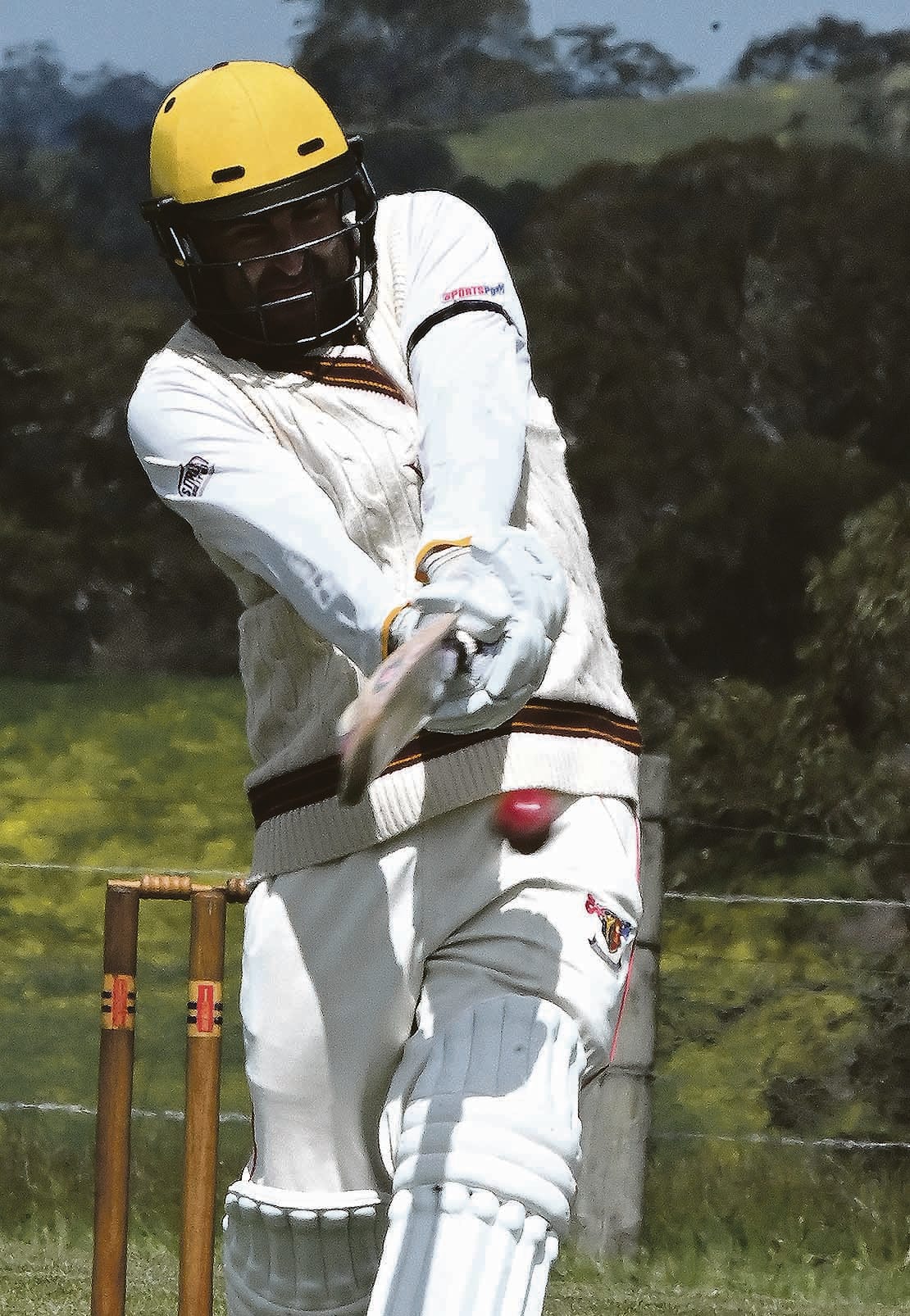 Willow again wielded