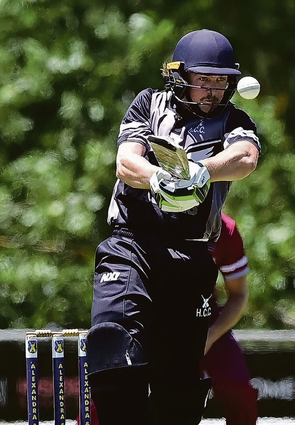 Time to wield the willow