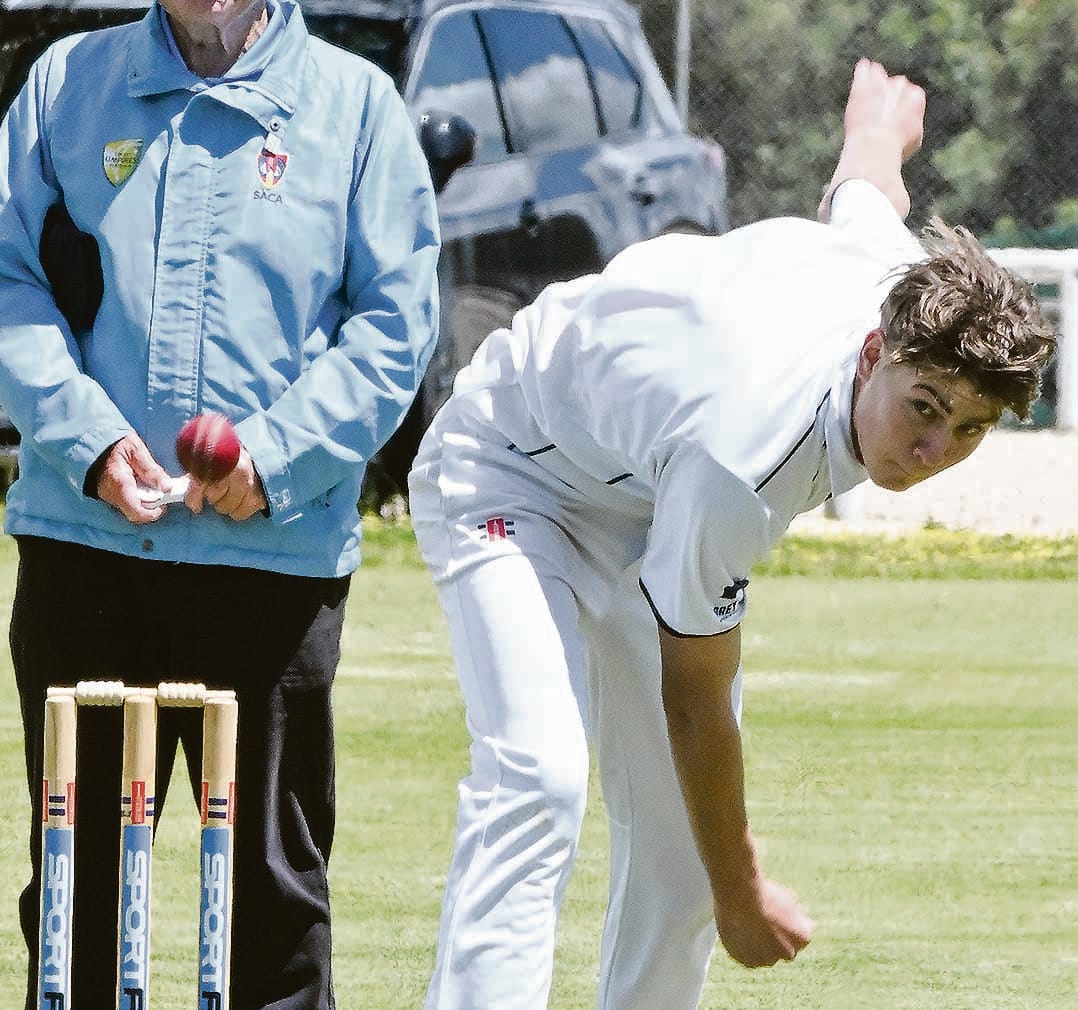 Warriors on the board