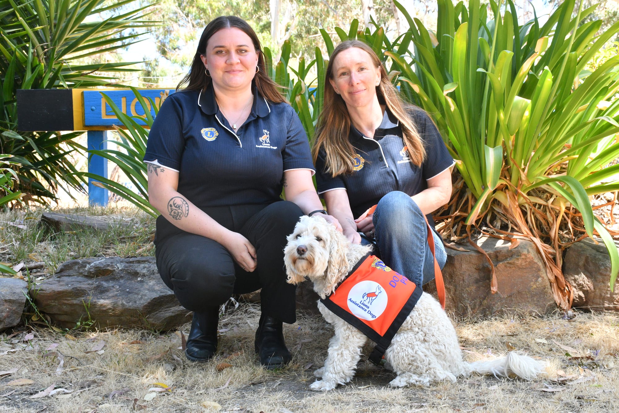 Council contributes to assistance dog training centre