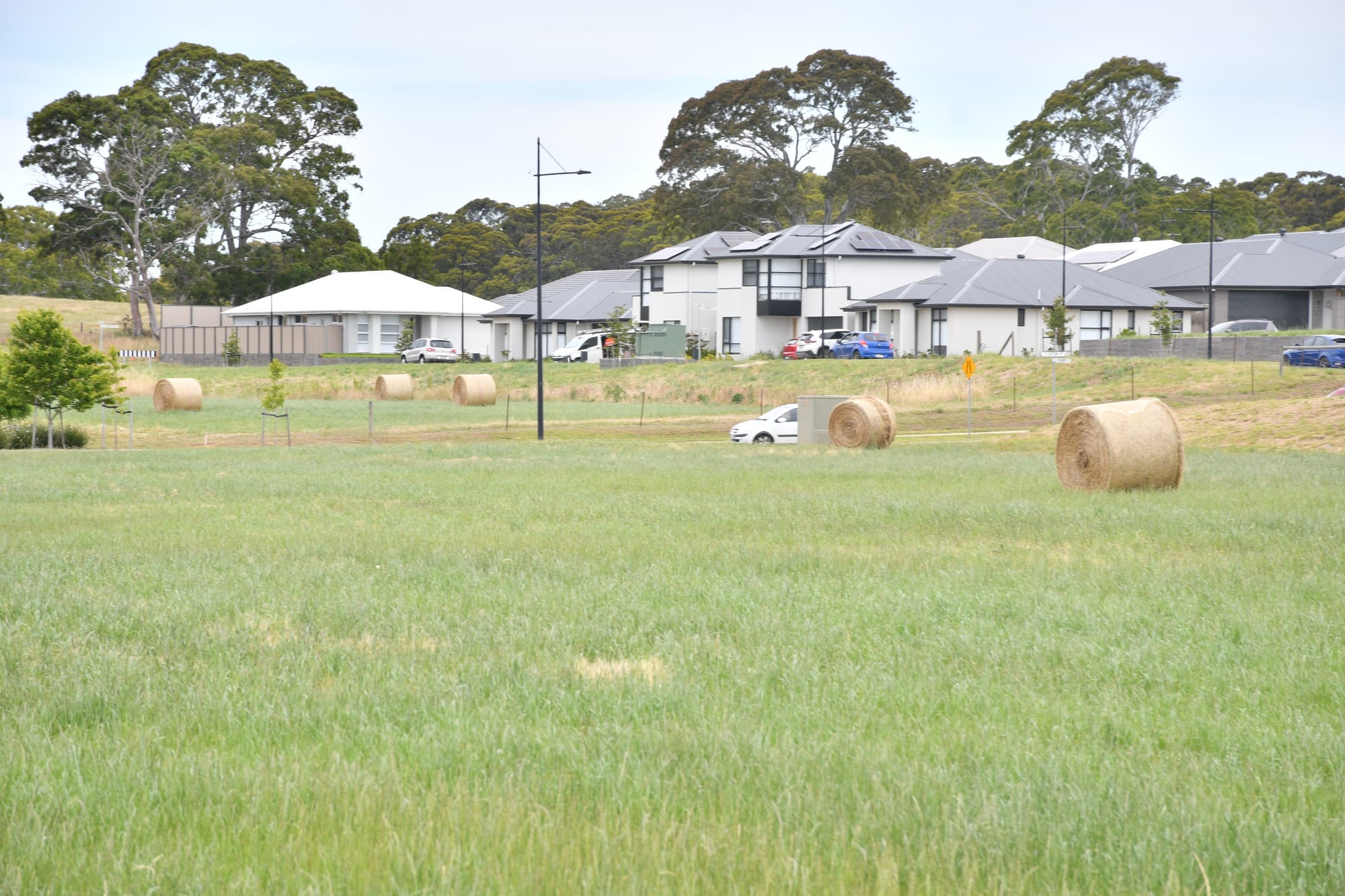 High growth contributes to high rates