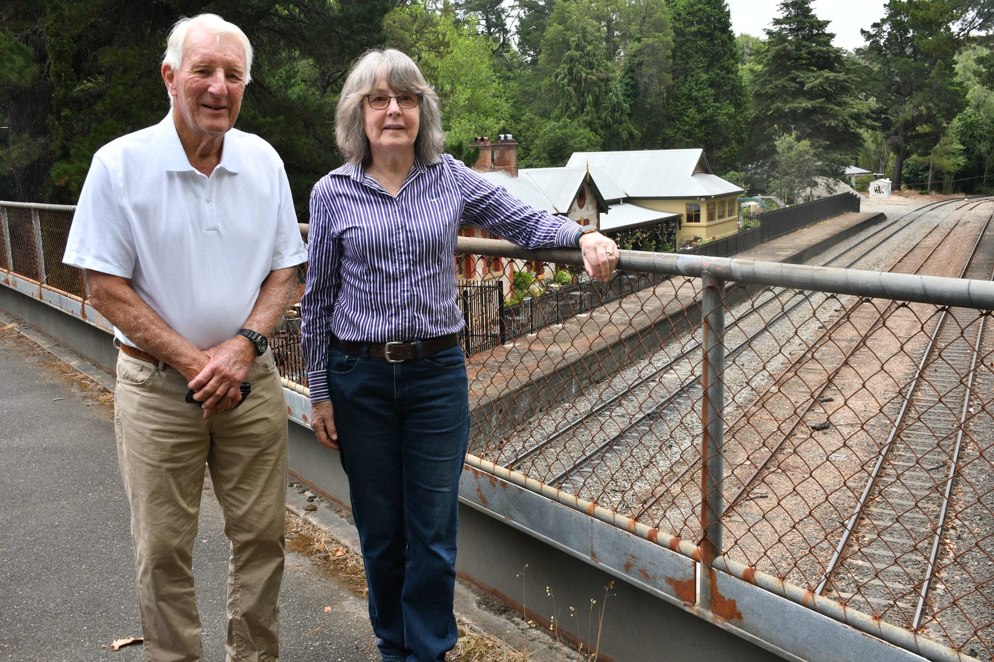 Renewed calls for Hills passenger rail