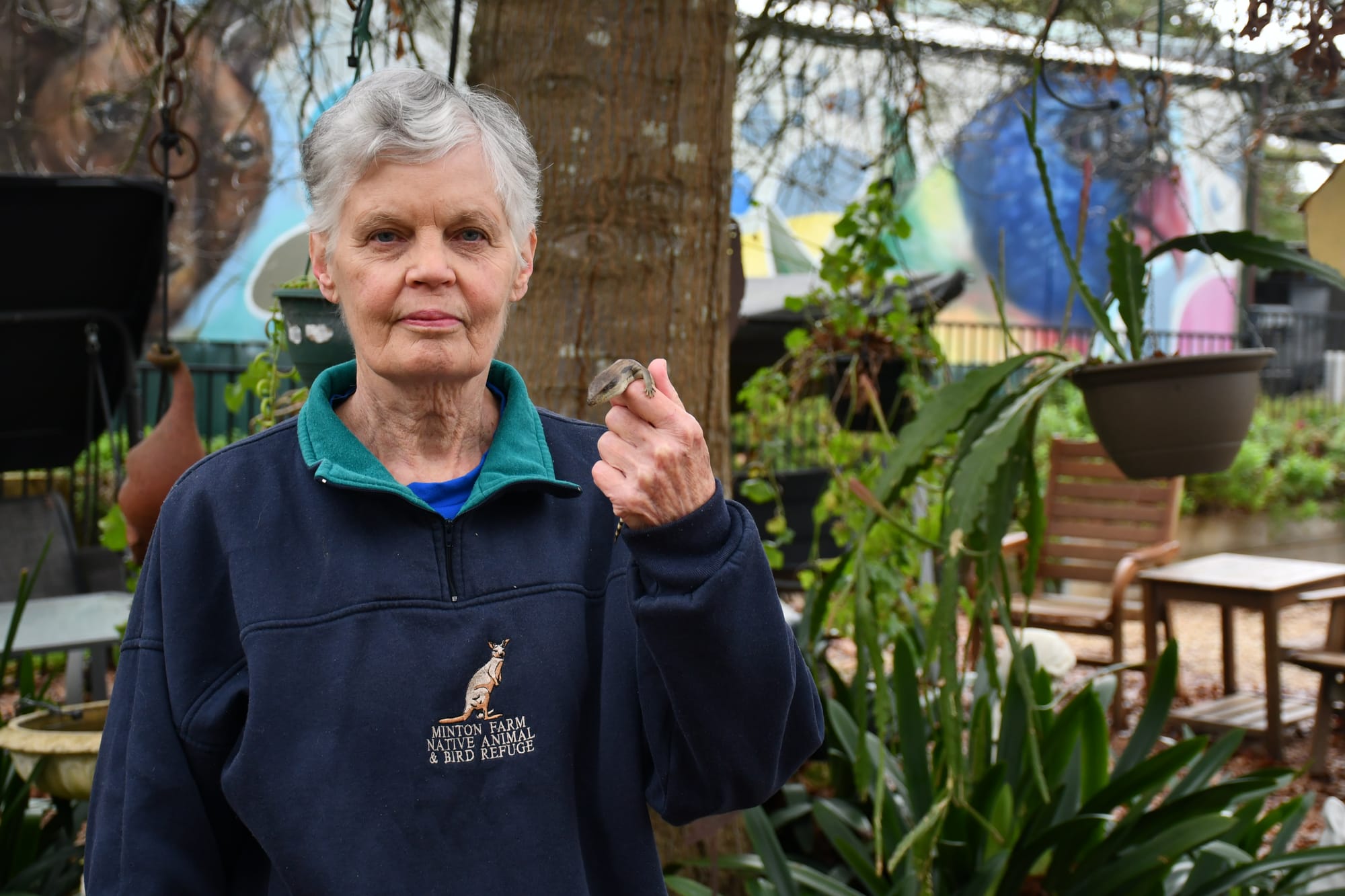 Cat fight: wildlife rescuer urges Government action on cat confinement