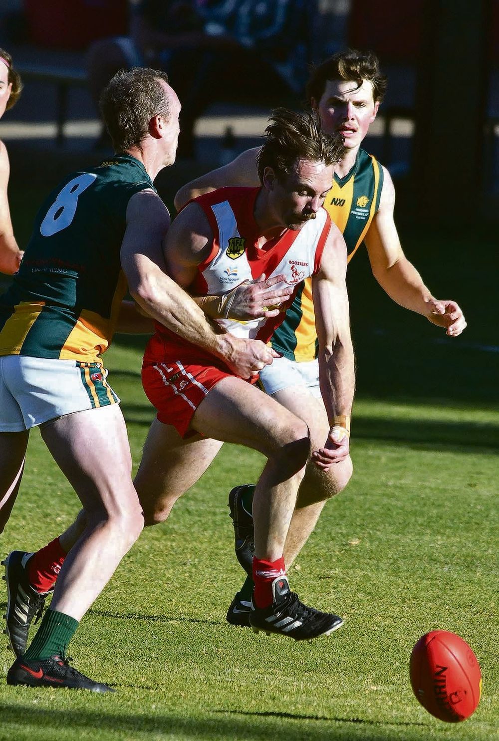 Plucky Roosters post image