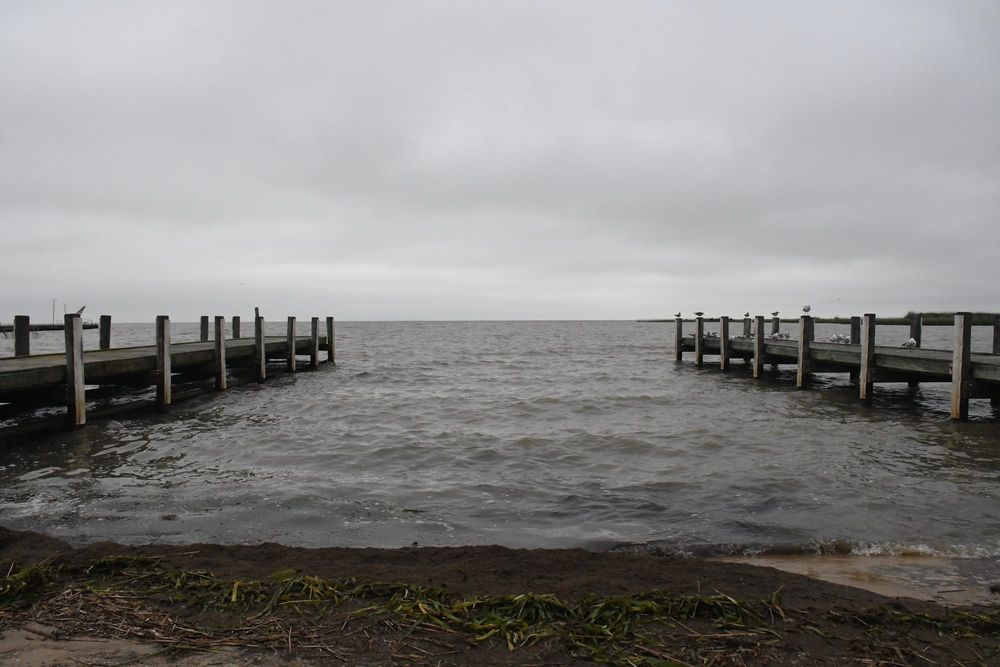 Environmental silver lining to flood risk post image