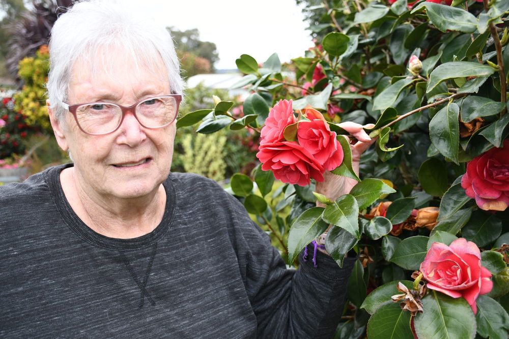 Call for inquest over historic death post image