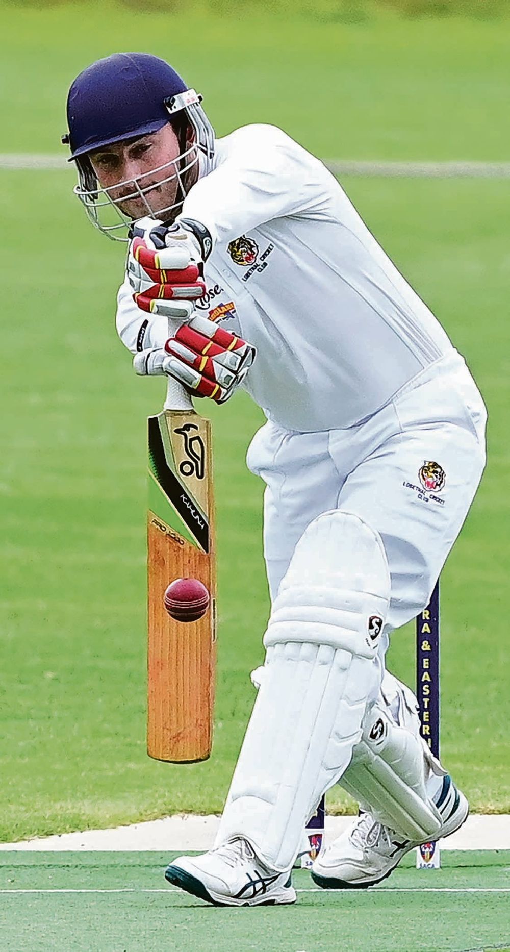 Tigers regain lead post image