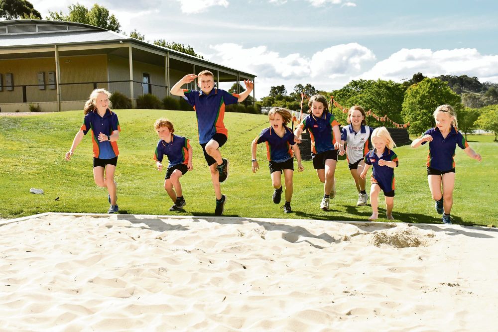 $35,000 worth of upgrades to benefit Mt Barker’s little athletes post image