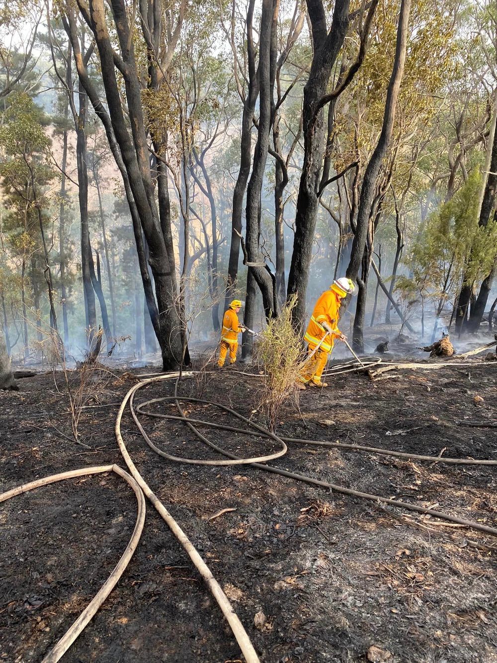 CFS renews burn-off calls after multiple fires post image