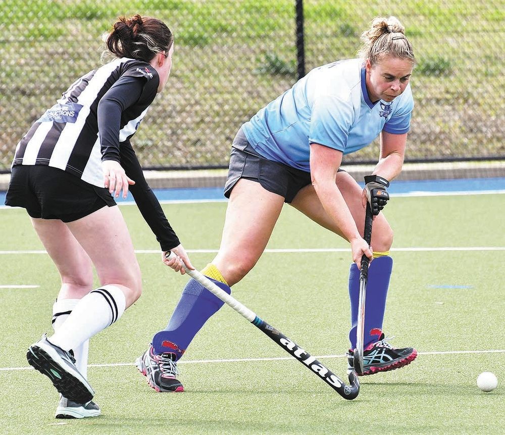 Hornets hit back post image