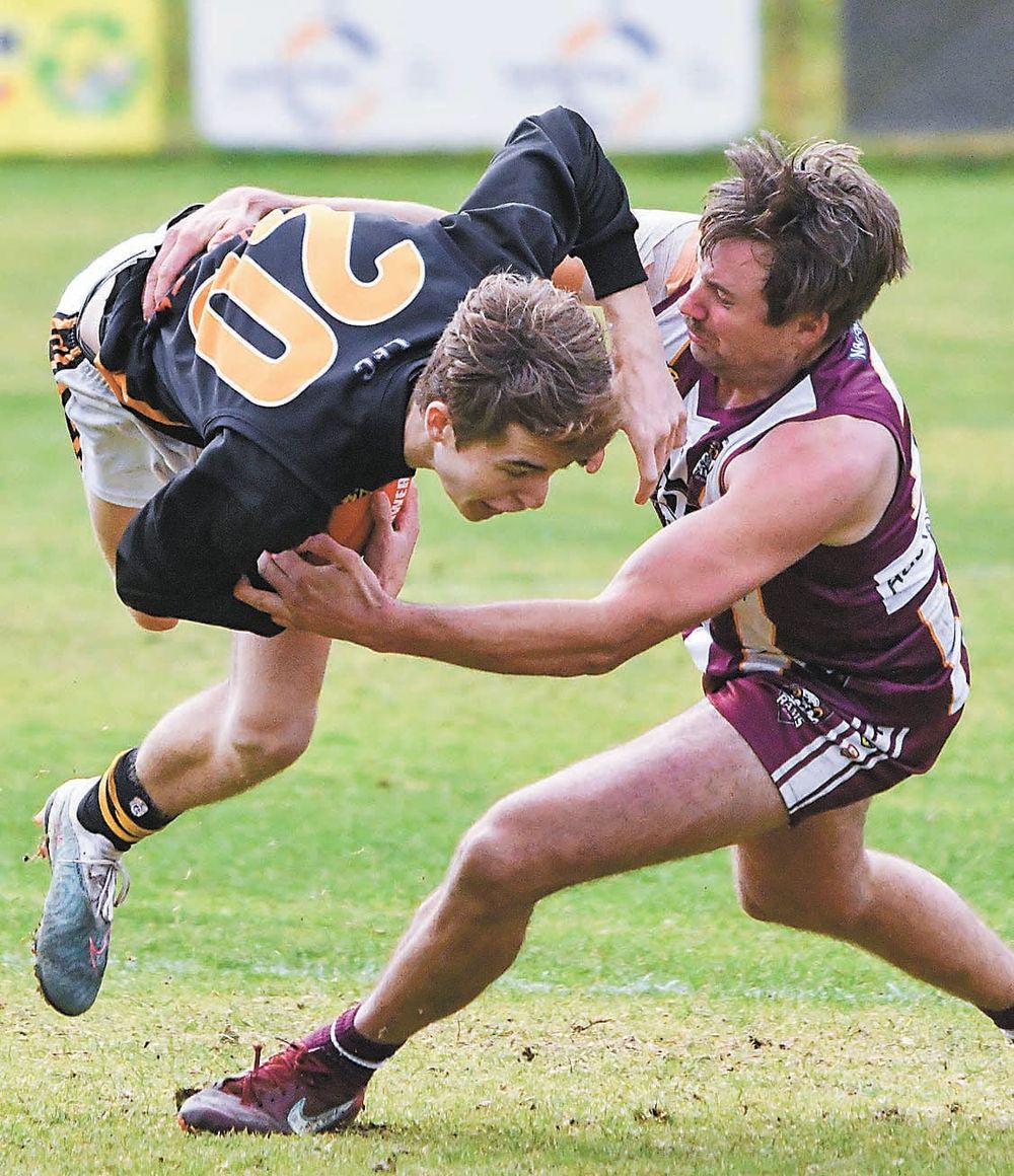 Bulldogs have plenty of bite post image