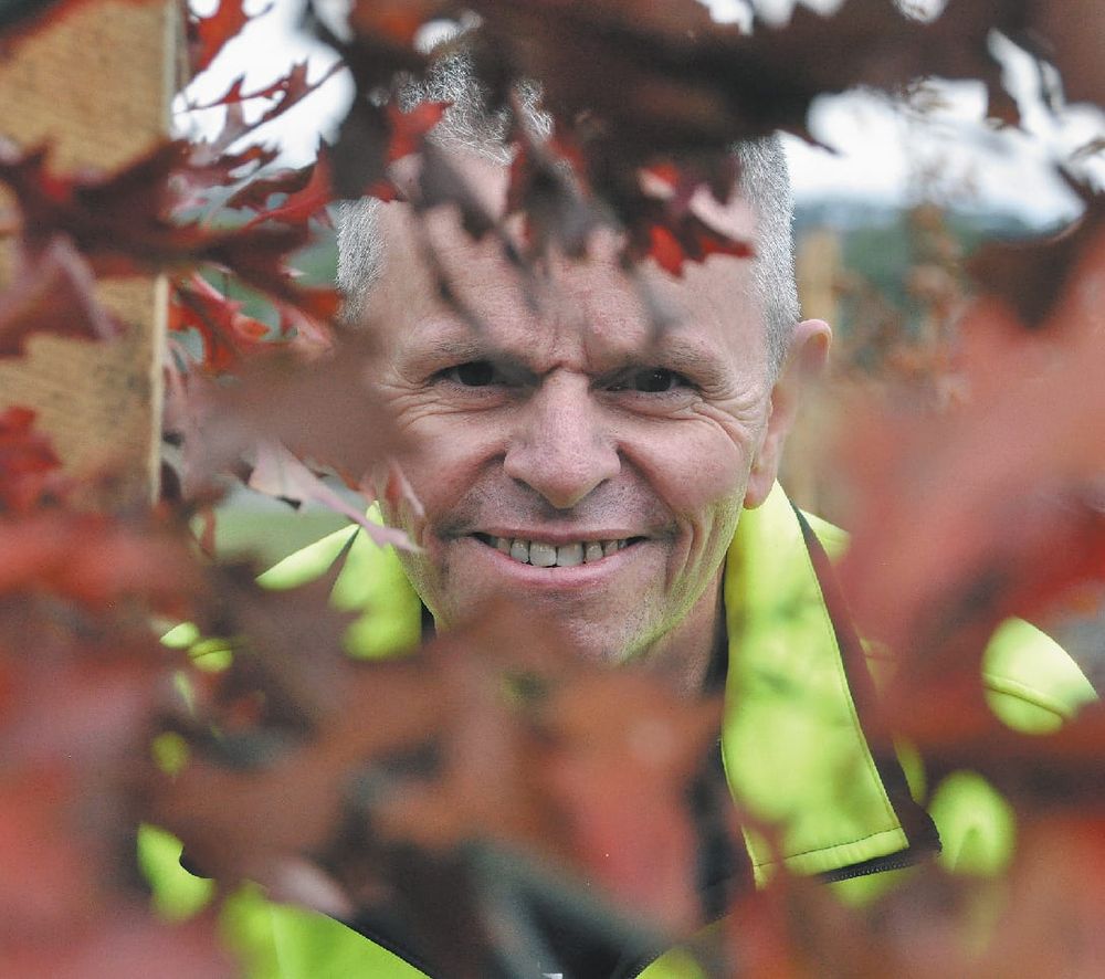 Avenue of trees to help region heal from bushfires post image