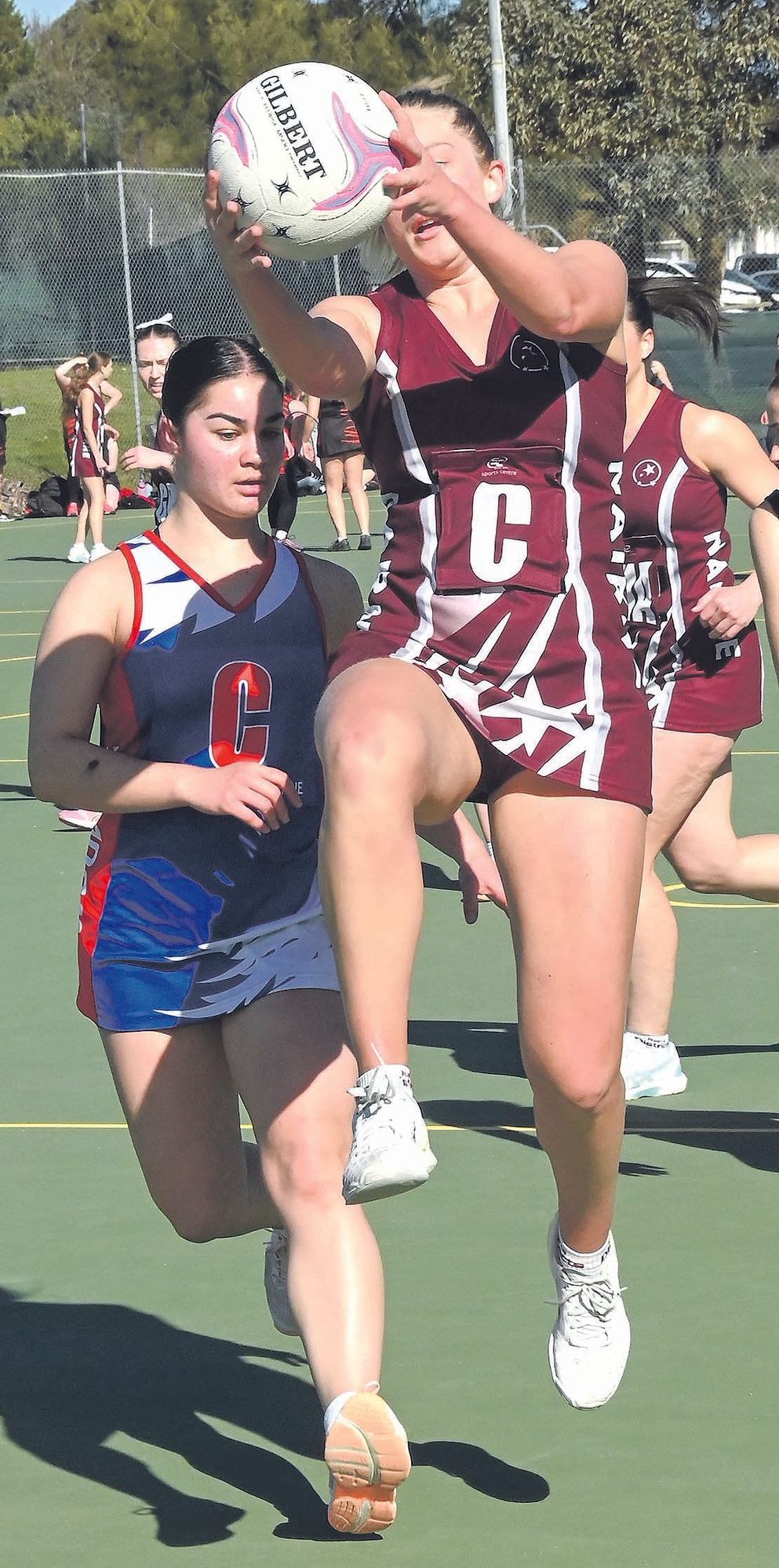 Premier rebounds post image