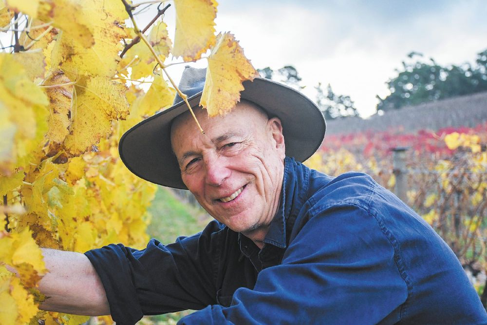 Local wineries taste success at national wine show post image