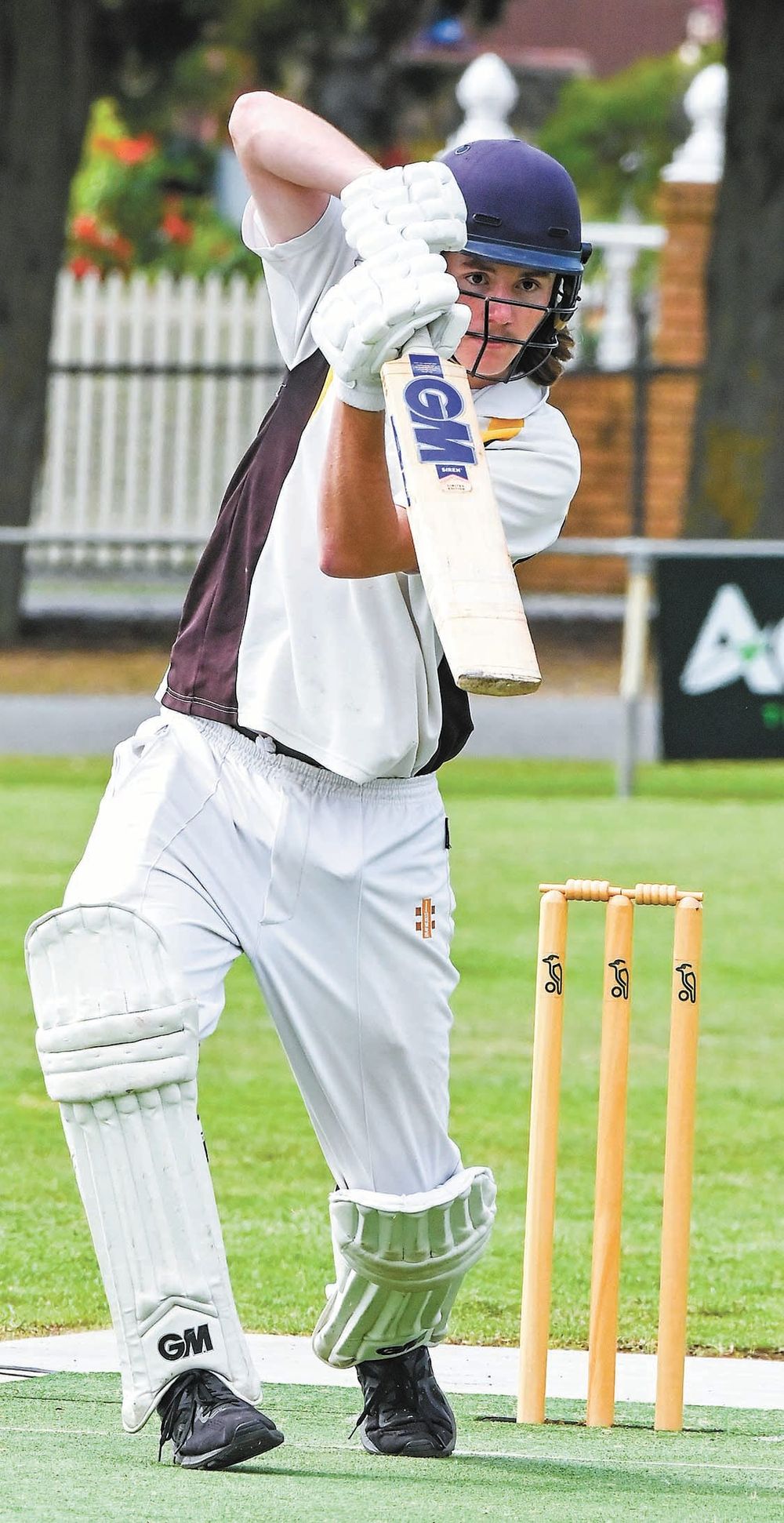 Premier again strong post image