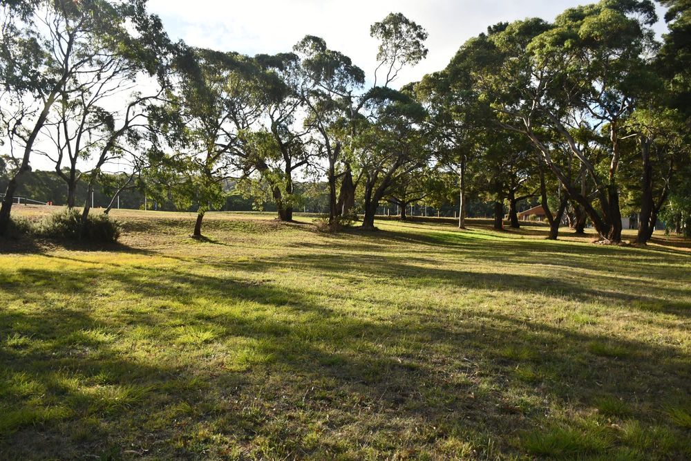 RV park proposed for Macclesfield land post image
