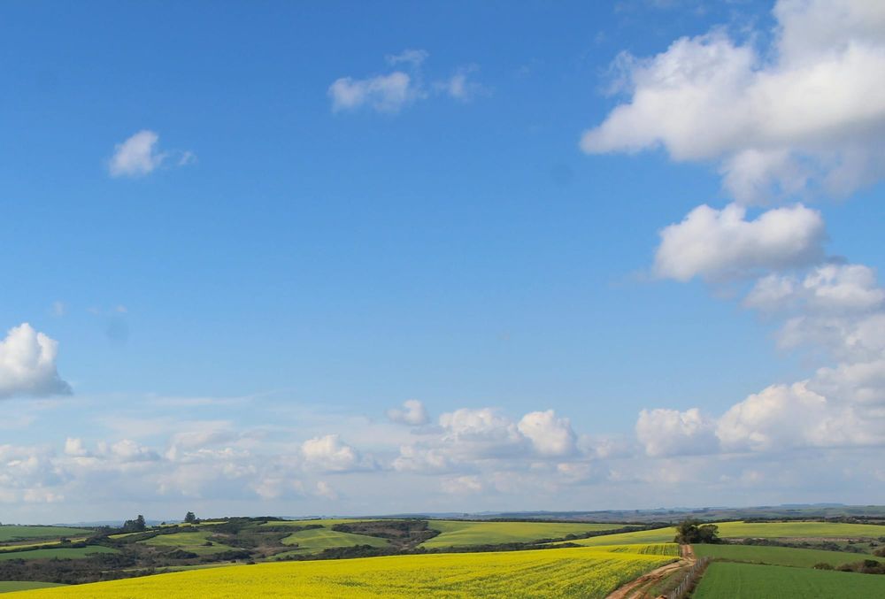 Infrastructure and transport projects top the list of key investment priorities for Hills councils post image