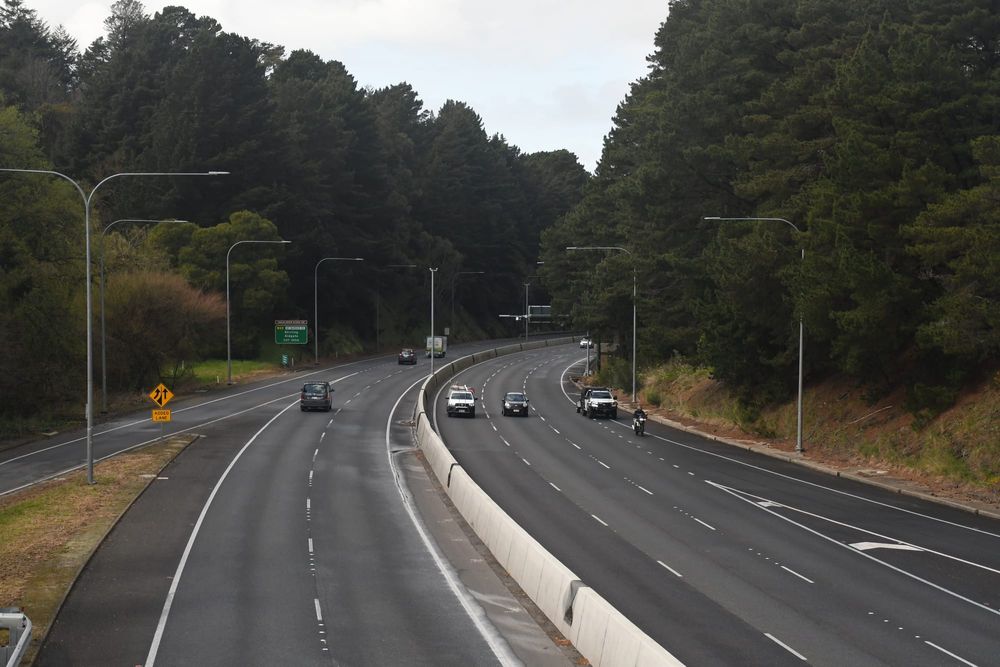 CFS dismisses pine tree fears post image