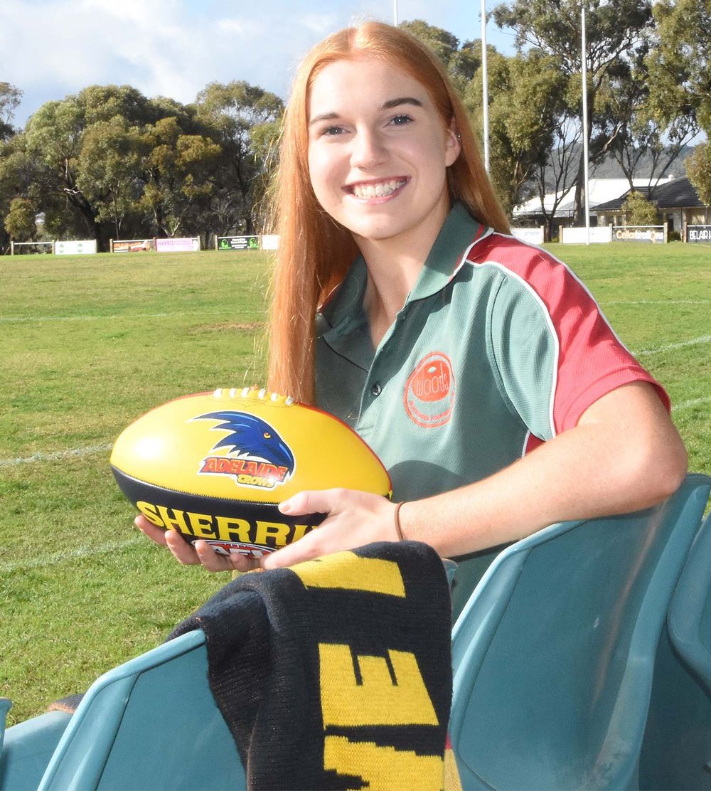 Crow in the Woods post image