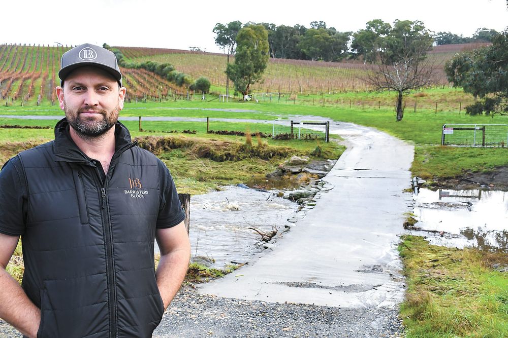 Mixed budget review post image