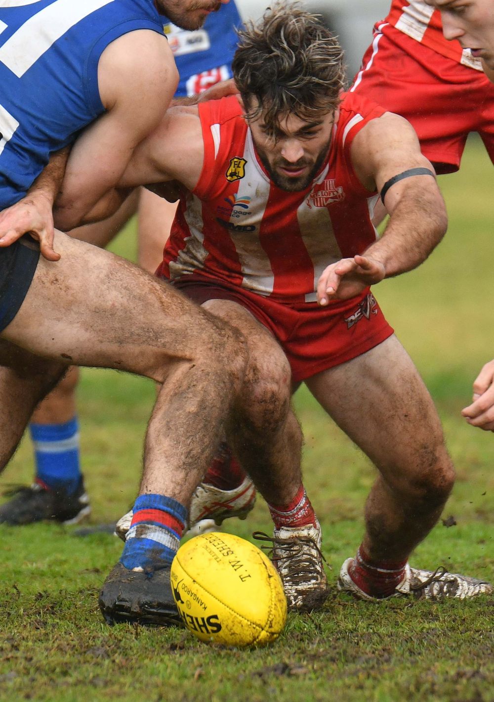 Skills Honed for medal win post image