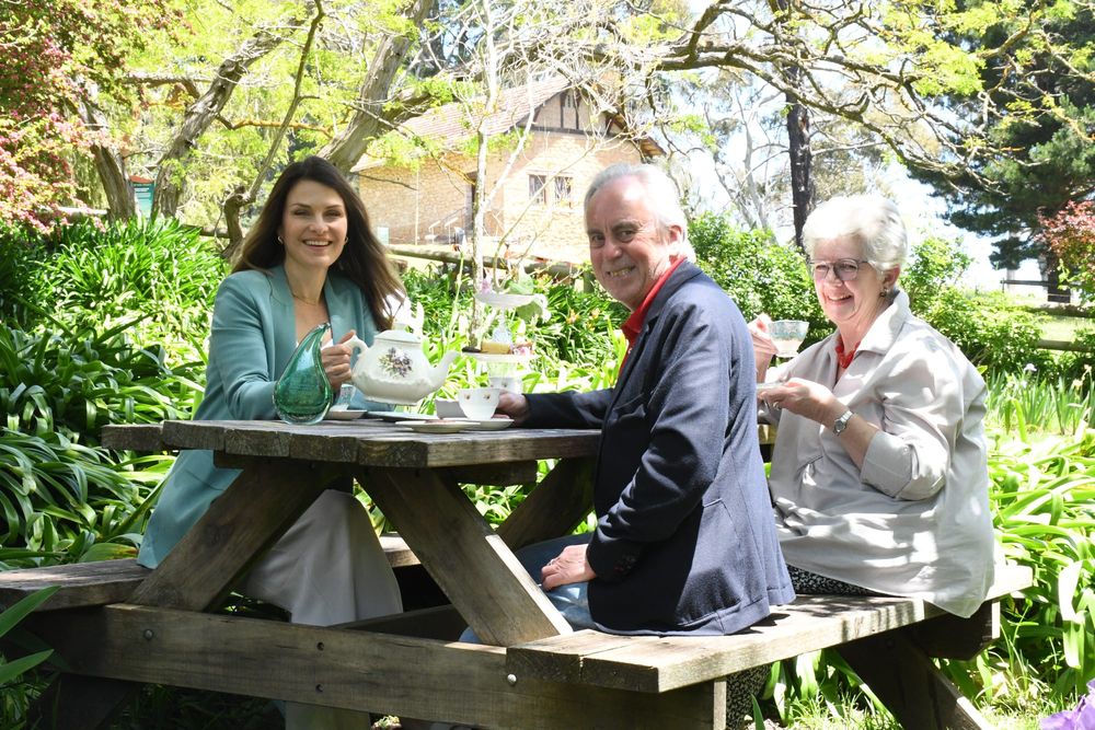 On a winning streak post image