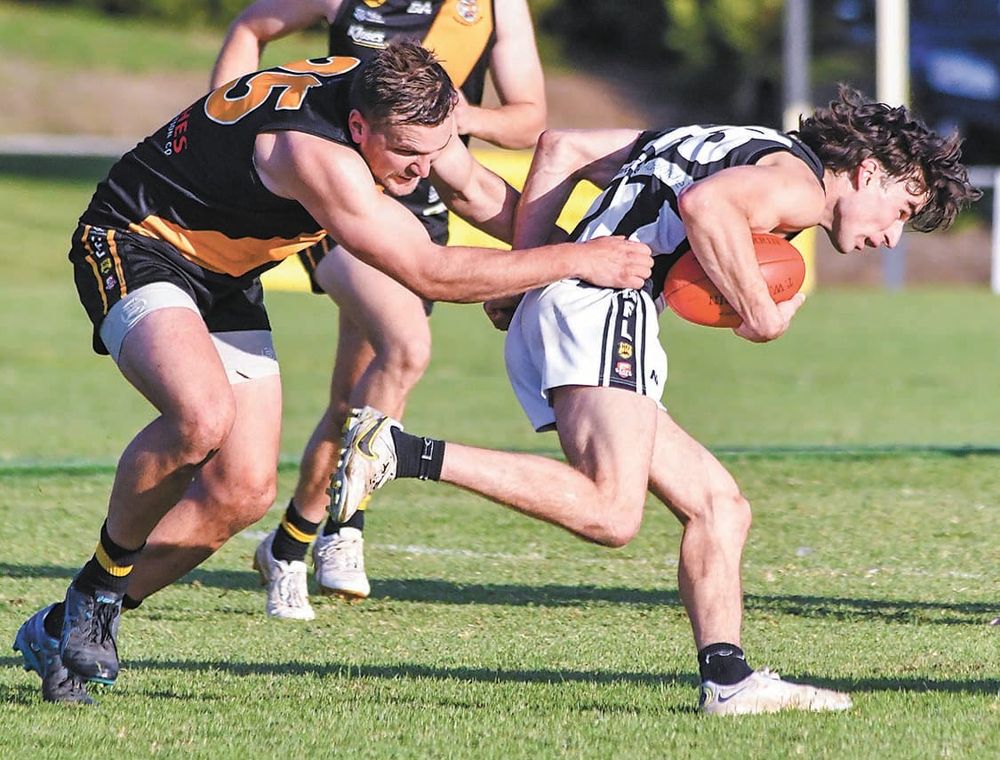 Hahndorf lay down the law post image