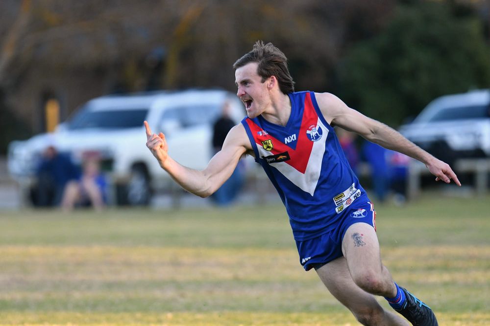 Dogs Day Out post image