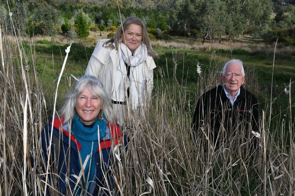 Hills residents to push up native daisies as new burial ground approved post image