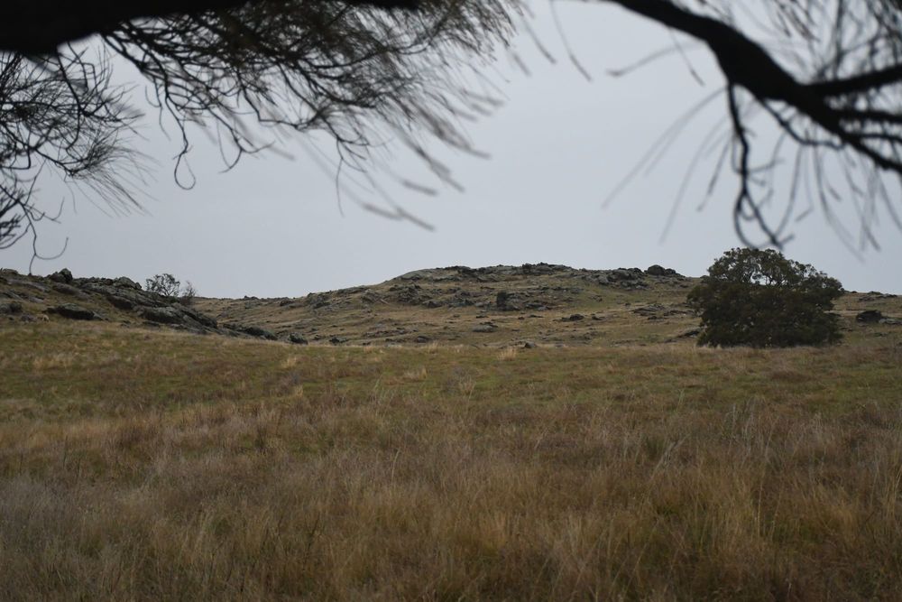 Palmer wind farm still on the cards, as number of turbines reduced post image