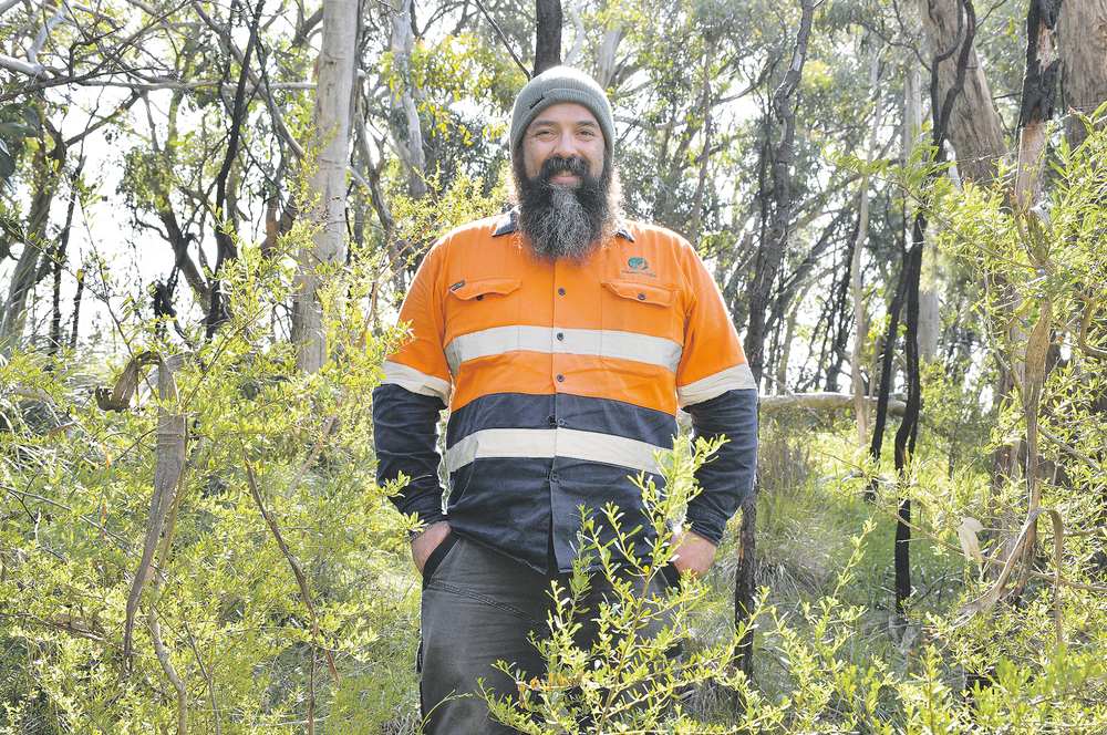 Invitation to try bushcare post image