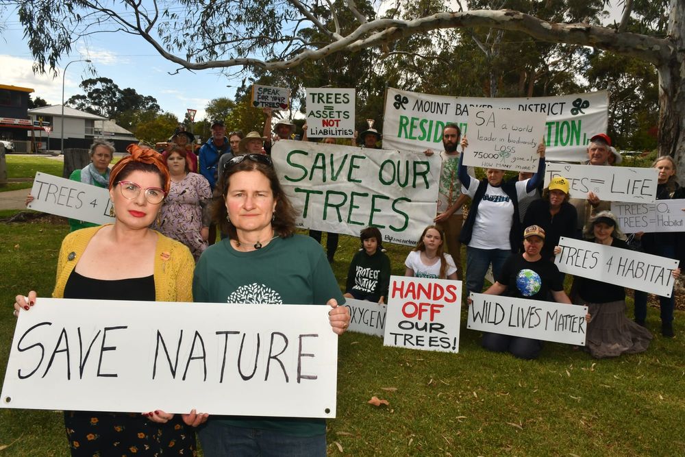'Silent' protest against tree removal post image